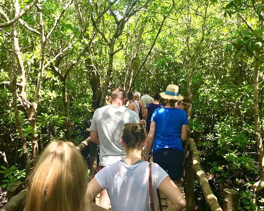 Jozani National Park Tour